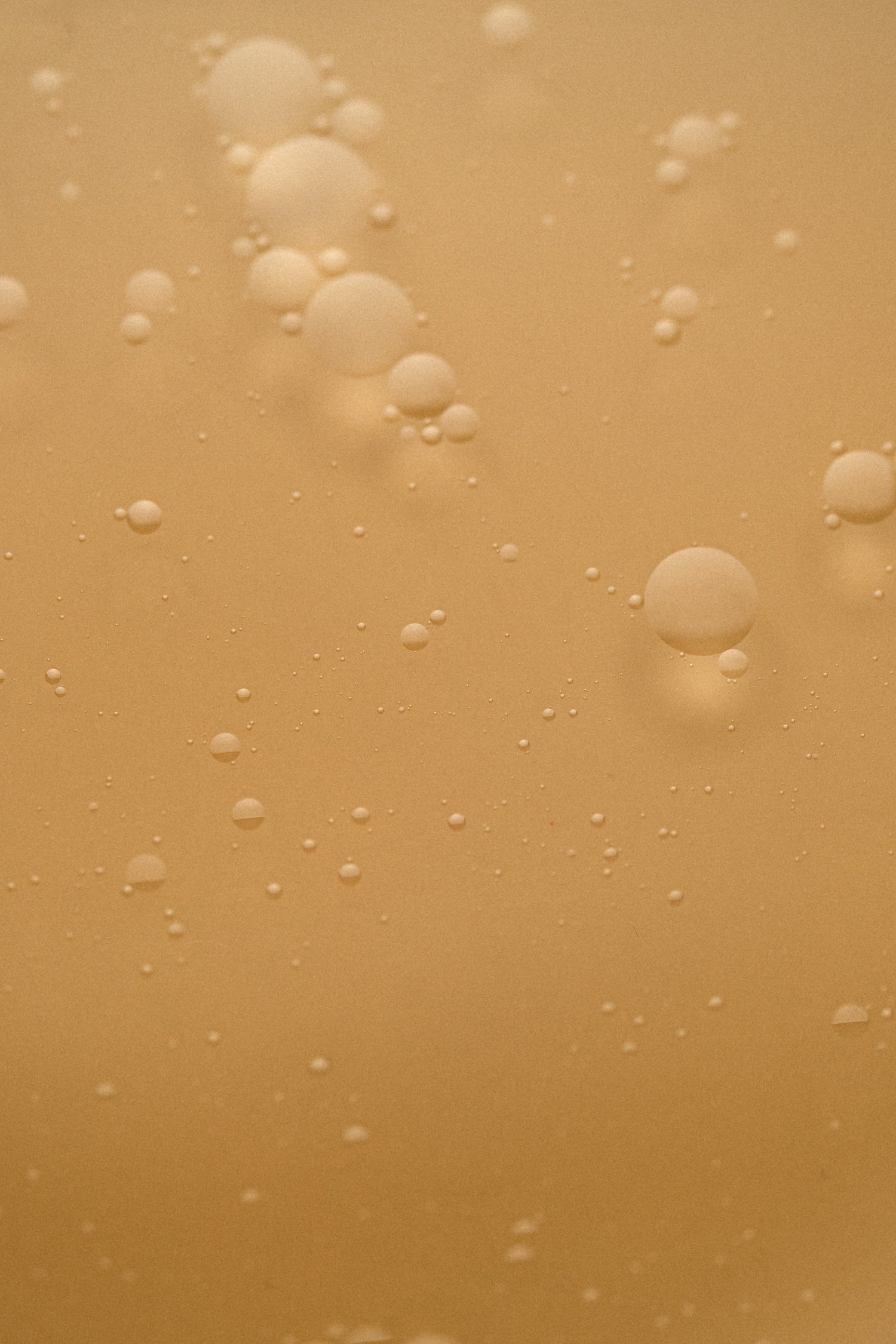 Immune Foundations For Winter: Why Gut Health Matters More Than You Think