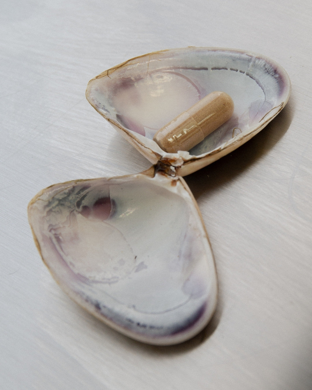 Oyster Capsules: The Beauty of Wholefood Nutrition